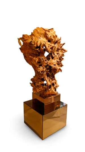 Escultura Raiz