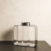 FANAL SILVER