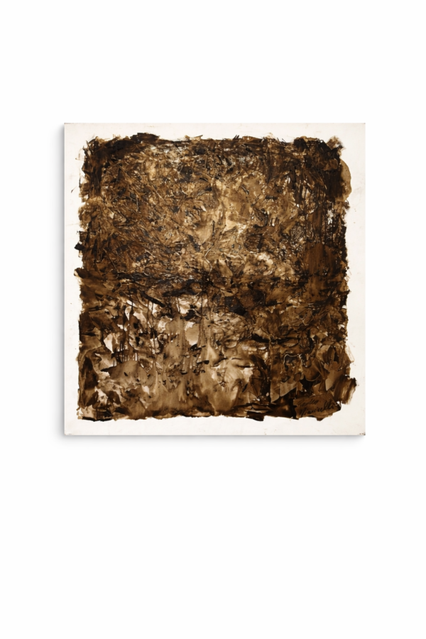 Misterios del bosque