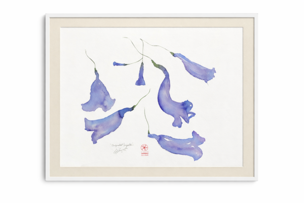 Suspended Jacaranda