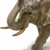 elefante_detalle_fondo_blanco_optimizado Elefante Darshan
