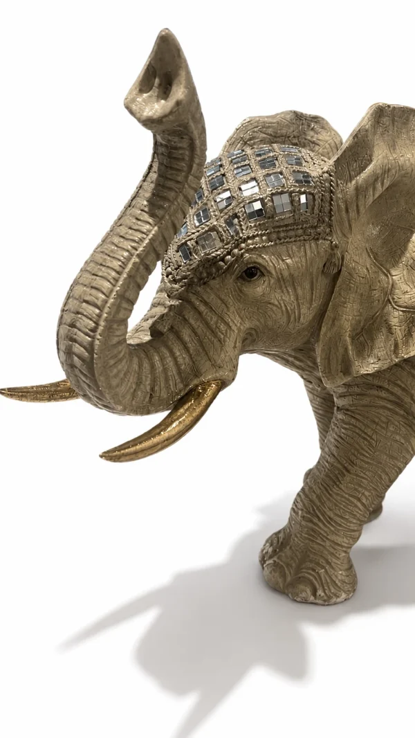 elefante_detalle_fondo_blanco_optimizado Elefante Darshan