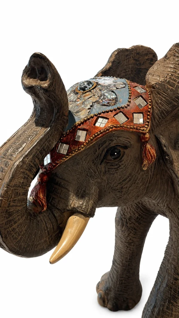 elefante_detalle_fondo_blanco_web Elefante Kiran
