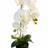 Orquídea 2 varas